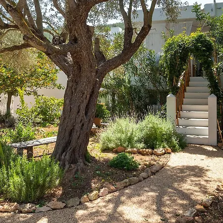 Valley Club Ibiza - Boutique Agroturismo Sant Joan De Labritja Exterior foto
