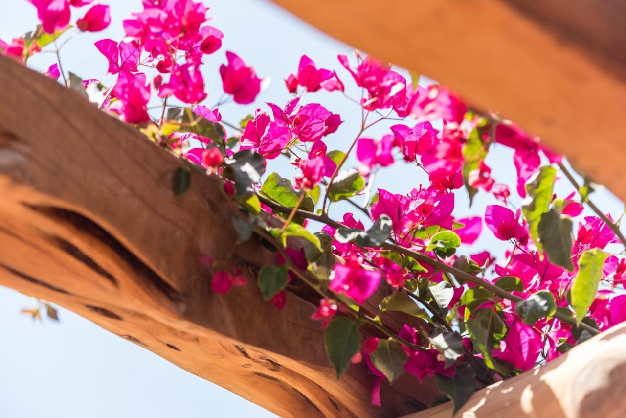 Séjour à la ferme Valley Club Ibiza - Boutique Sant Joan De Labritja