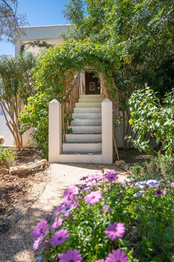 Valley Club Ibiza - Boutique Estada en una granja