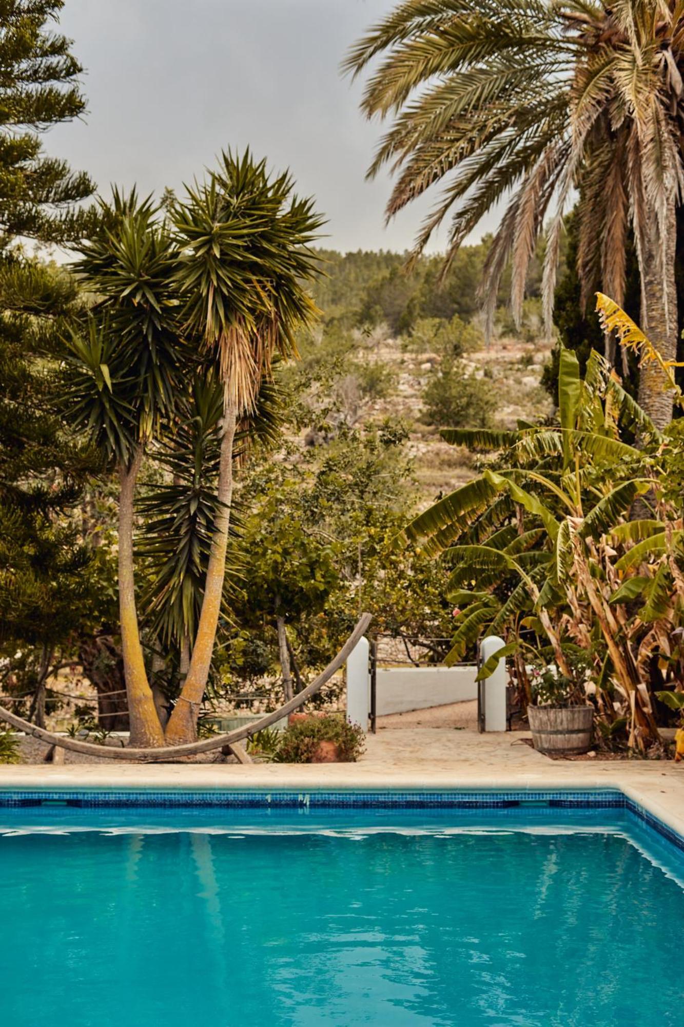 Valley Club Ibiza - Boutique Agroturismo Farm stay Sant Joan De Labritja