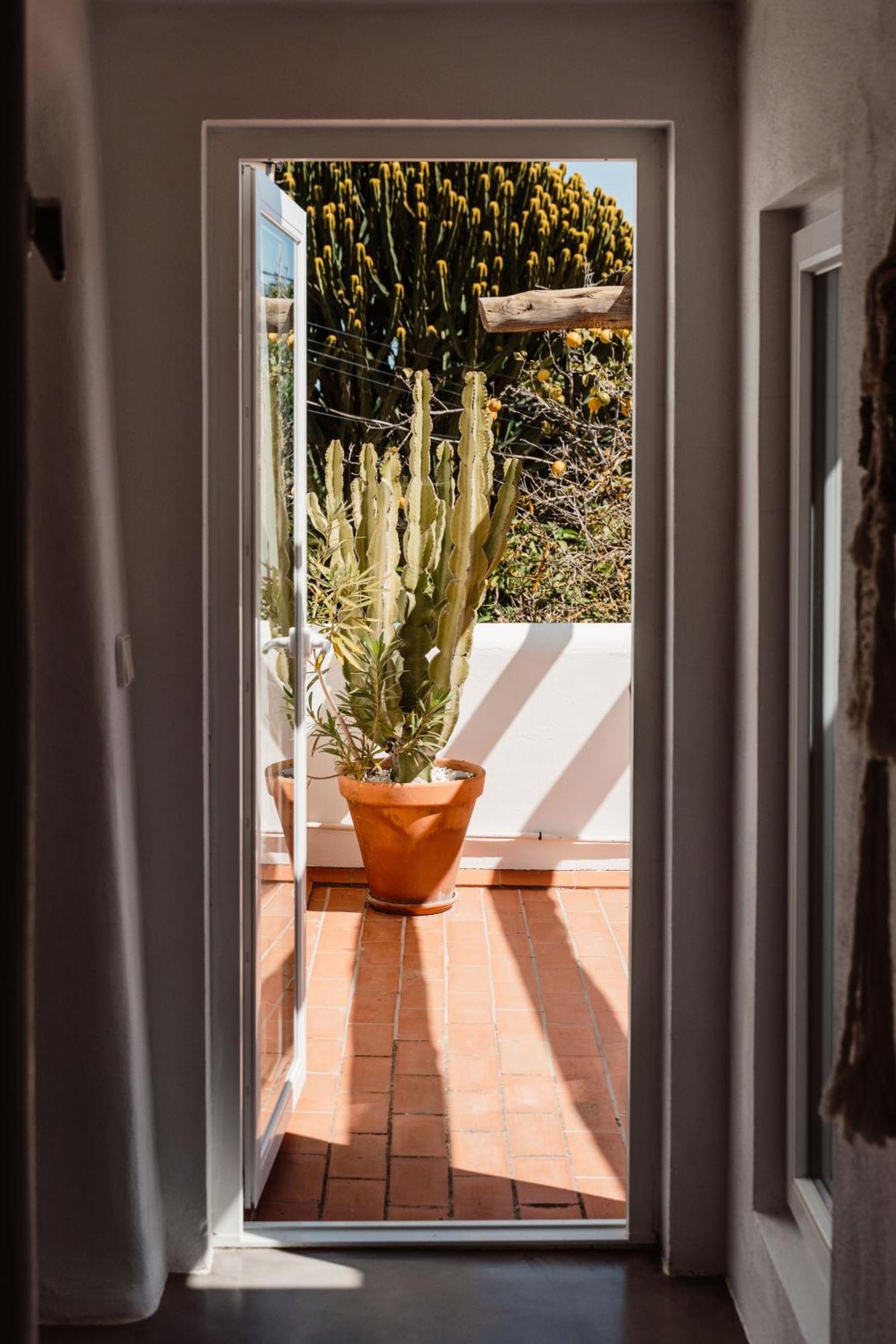 Valley Club Ibiza - Boutique *
