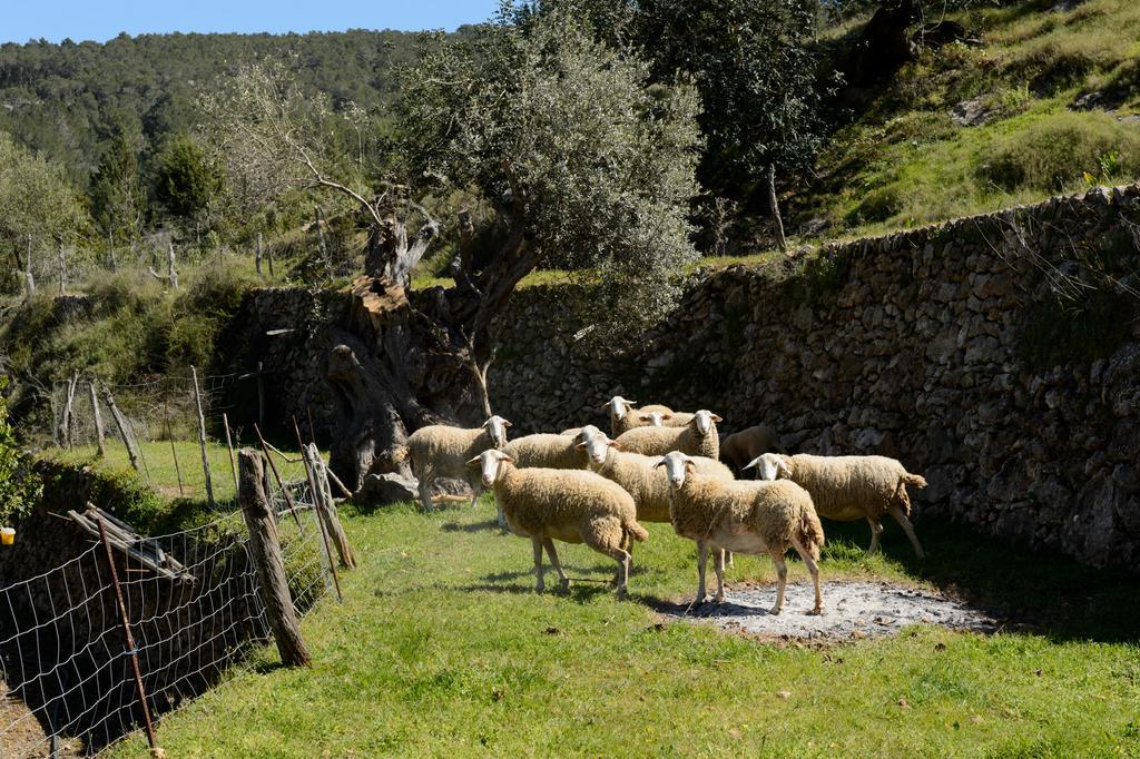 Valley Club Ibiza - Boutique Séjour à la ferme Sant Joan De Labritja