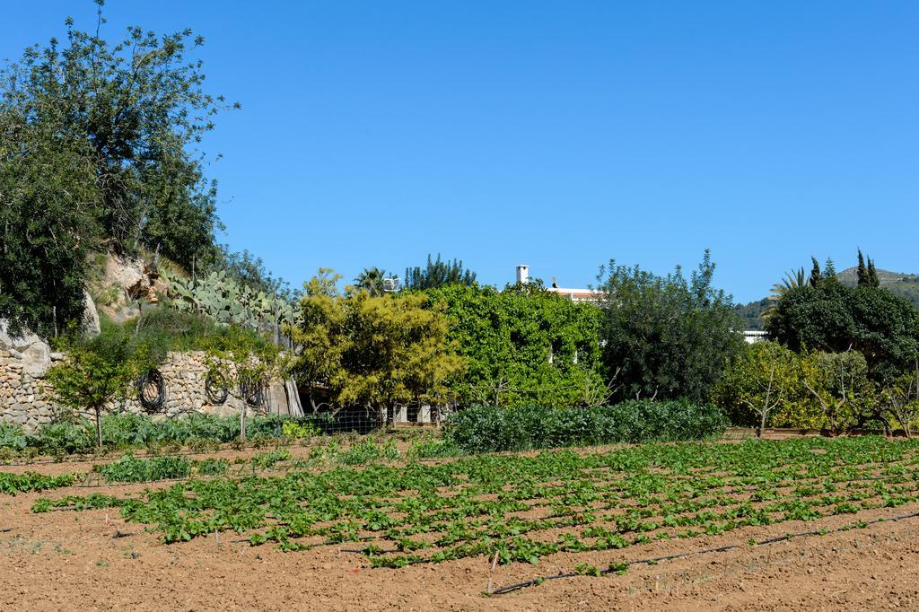 Estada en una granja Valley Club Ibiza - Boutique